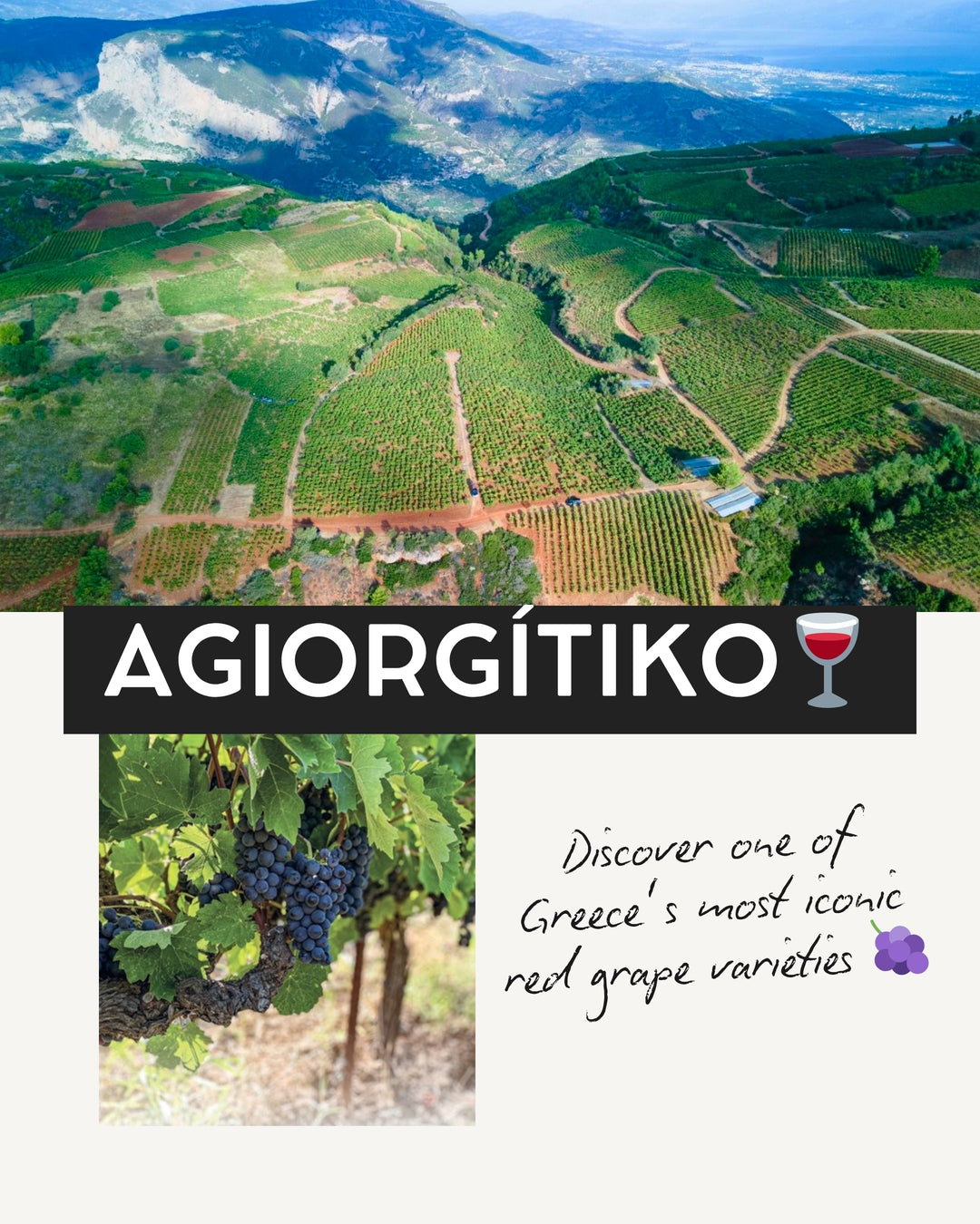 Agiorgitiko