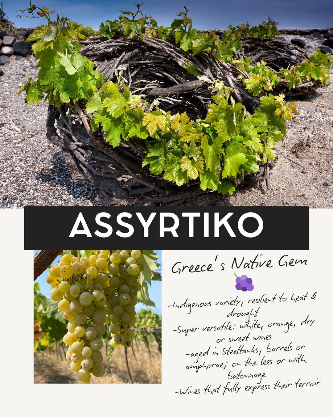 Assyrtiko