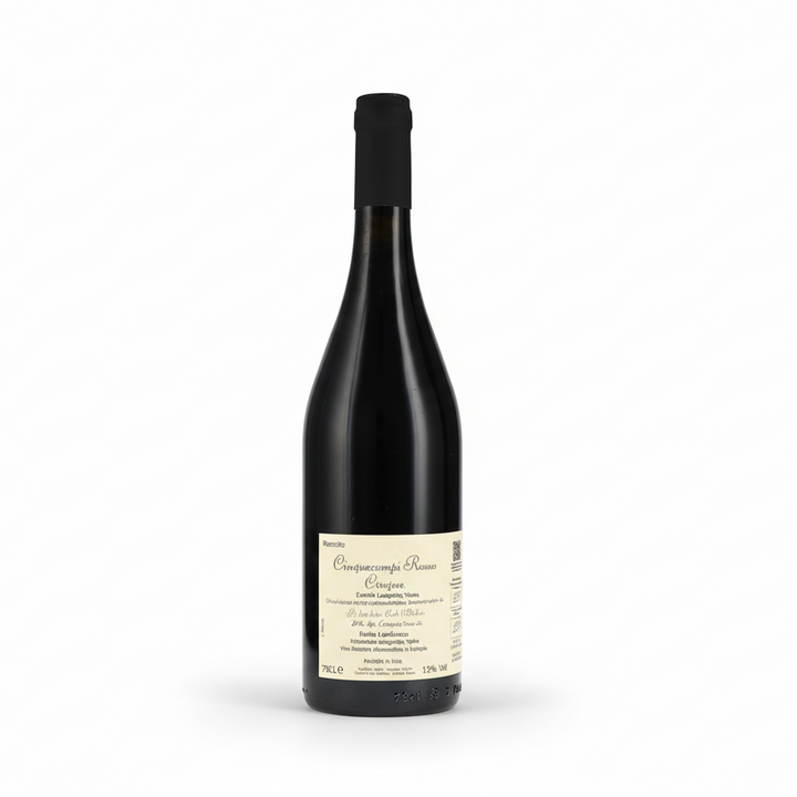Schwarzer Lambrusco Schaumwein von Cinque Campi, biologisch, spritzig und fruchtig, in einer Flasche mit rotem Wein.