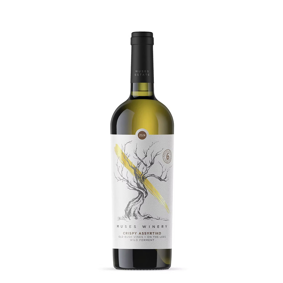 Griechischer Assyrtiko Weißwein von Muses Estate aus dem Jahr 2023, klare Flüssigkeit in einem Weinglas.