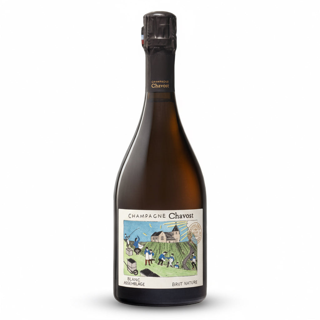 Champagne Chavost Blanc Assemblage Brut Nature NV, Schaumwein in einer eleganten Flasche mit goldener Beschriftung.